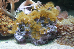 Killikus&reg; Fotographie